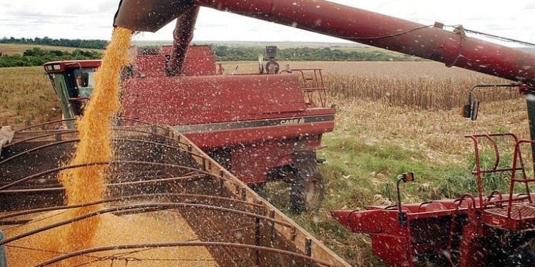 IBGE estima recorde em safra de grãos em 2021