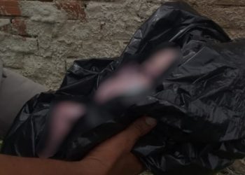 Polícia Civil investiga jovem suspeita de ser mãe de bebê que morreu dias após ser abandonado, em Nerópolis