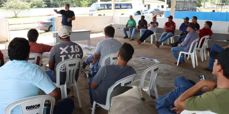 CAVALOS SOLTOS NAS RUAS DE NIQUELÂNDIA: REUNIÃO NA PECUARIA ESCLARECE DÚVIDAS SOBRE APREENSÕES