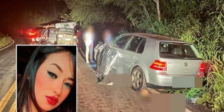 MULHER MORRE APÓS PARAR PARA TROCAR PNEU DE CARRO E SER ATINGIDA POR CAMINHÃO QUE TOMBOU, EM GOIÁS